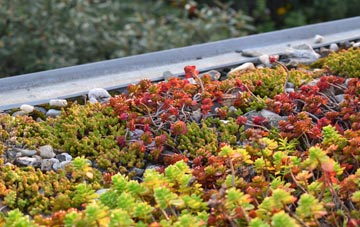 the cost of Bangor On Dee green roof installation