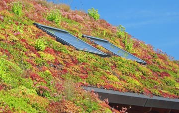 Bangor On Dee living roof systems