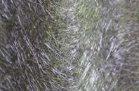 Bangor On Dee fibreglass roof work